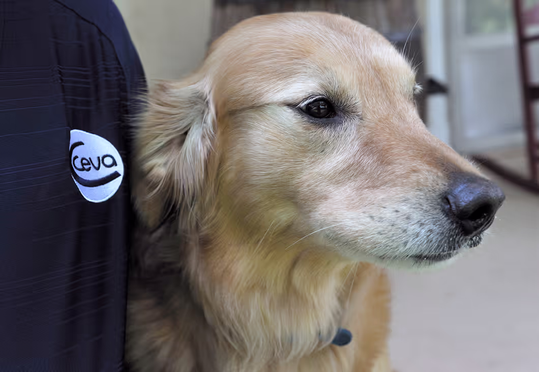 CEVA Animaux de compagnie : Chien