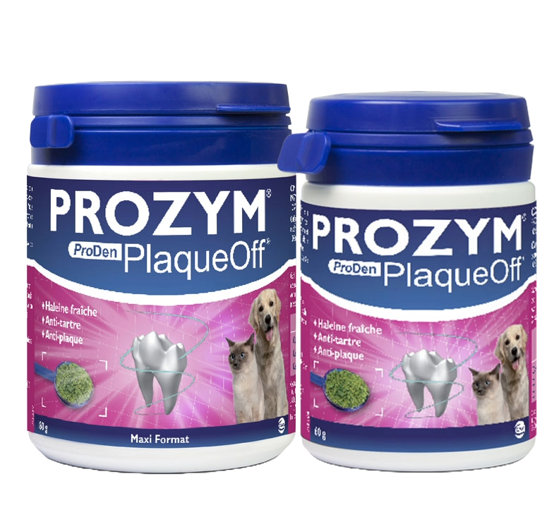 PROZYM Plaque Off Poudre