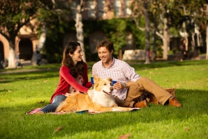 A couple enjoying the park with their dog