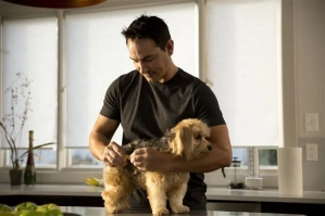 Vectra 3D flea and tick preventative being applied to a small dog