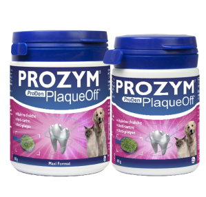 PROZYM Plaque Off Poudre